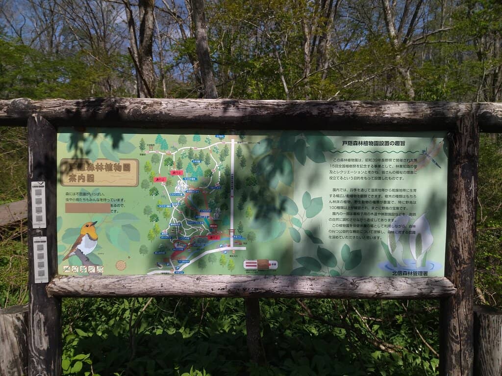 The Great Torii Gate