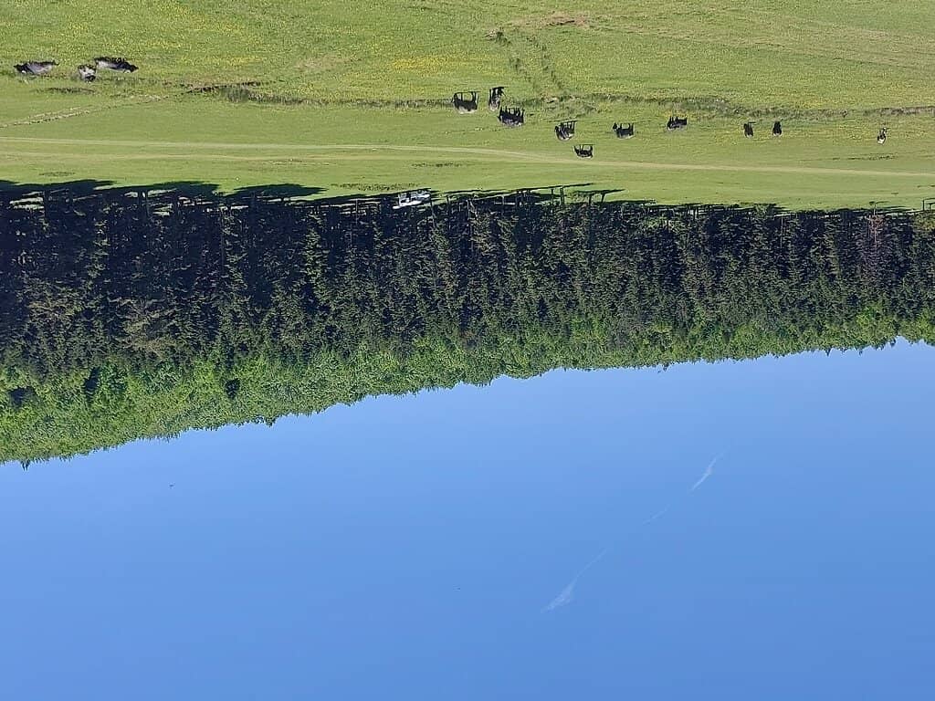 Vertical photo