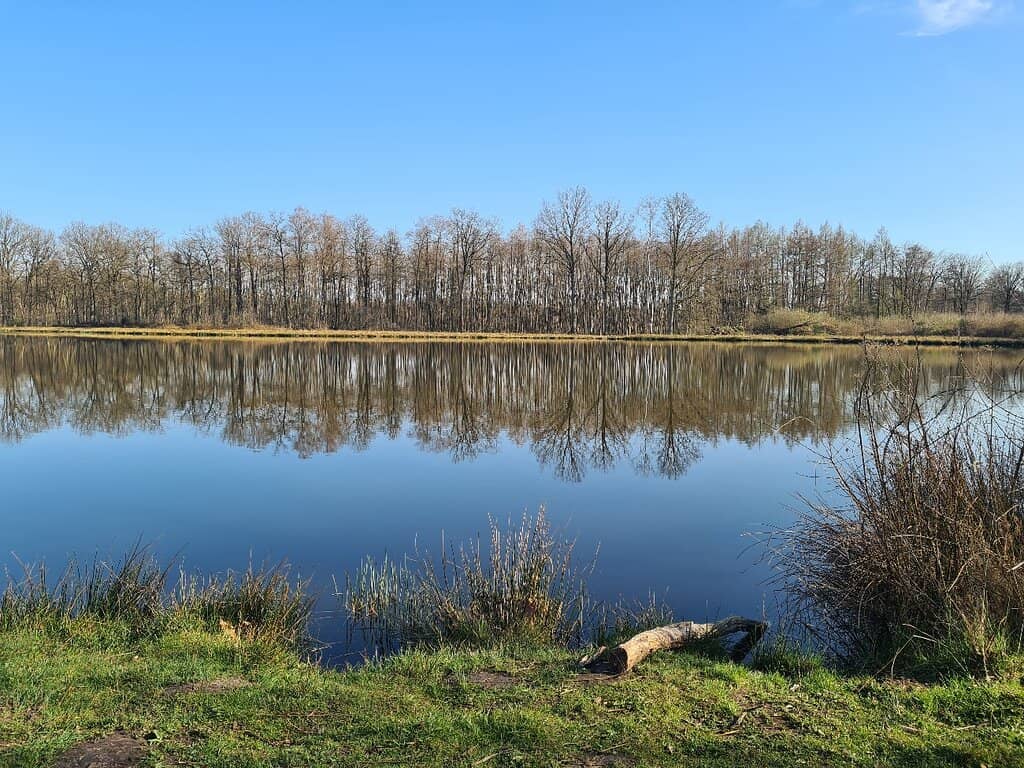 The Sixties Area