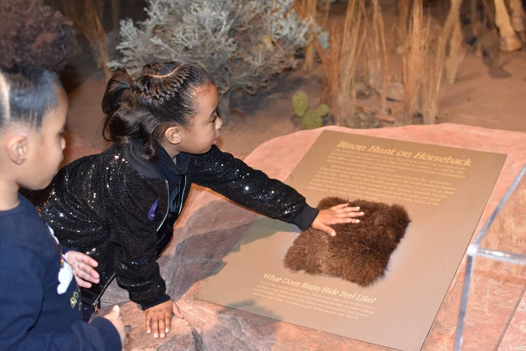 Planetarium Shows