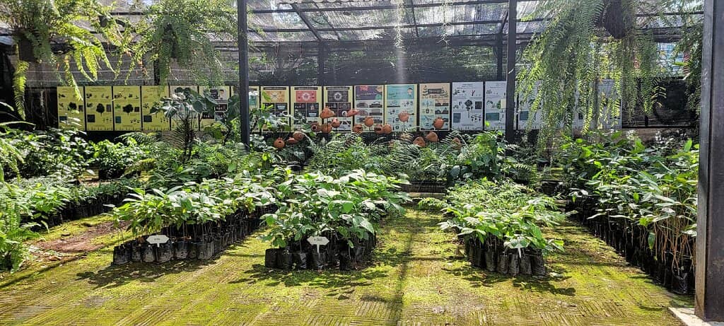 Outdoor Exercise Zone