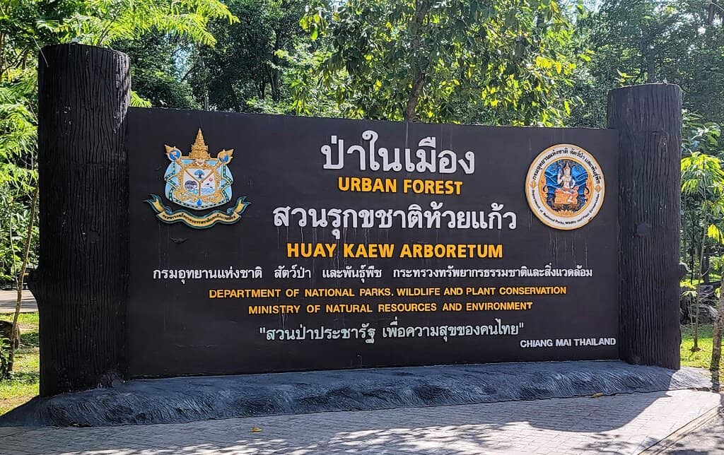 Native Plant Collection