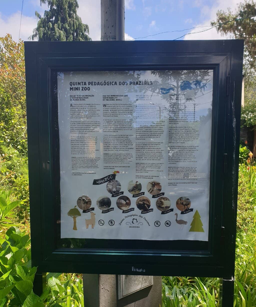 Friendly Farm Animals