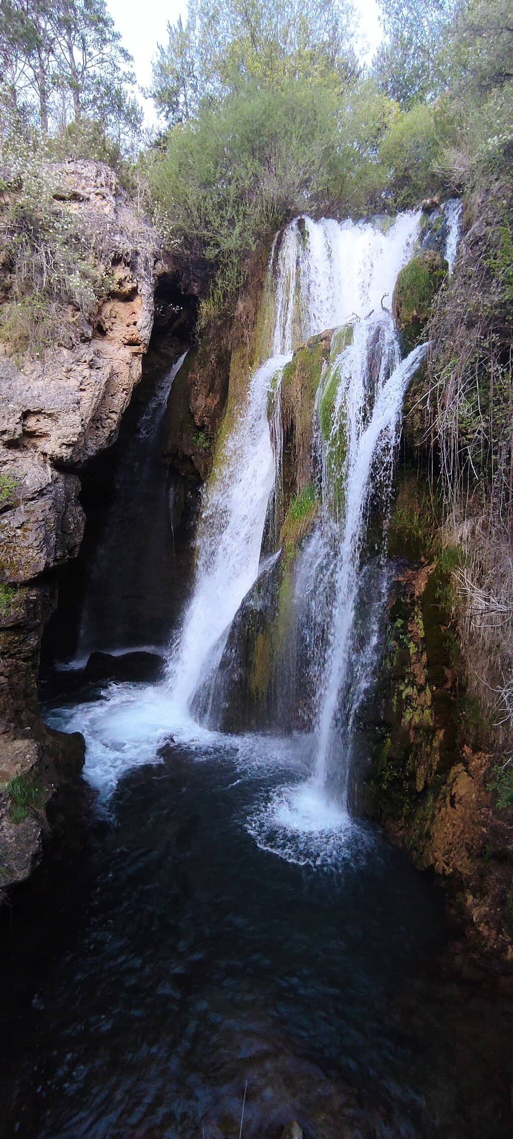 Panoramic Vista