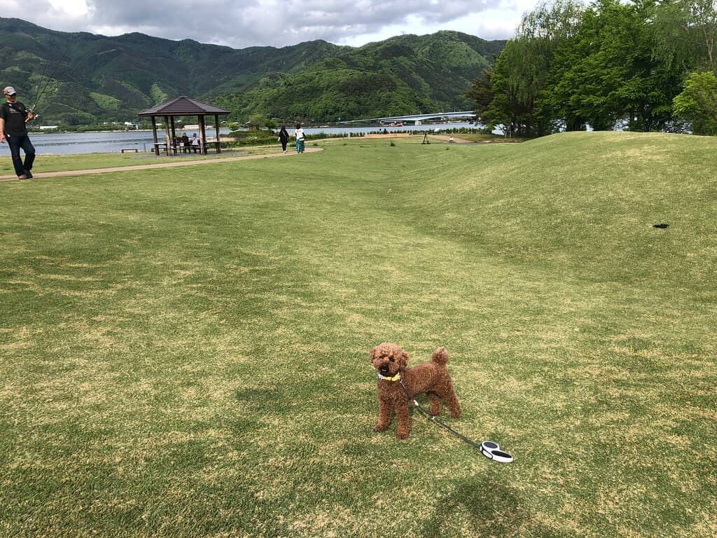 Peaceful Lakeside Stroll
