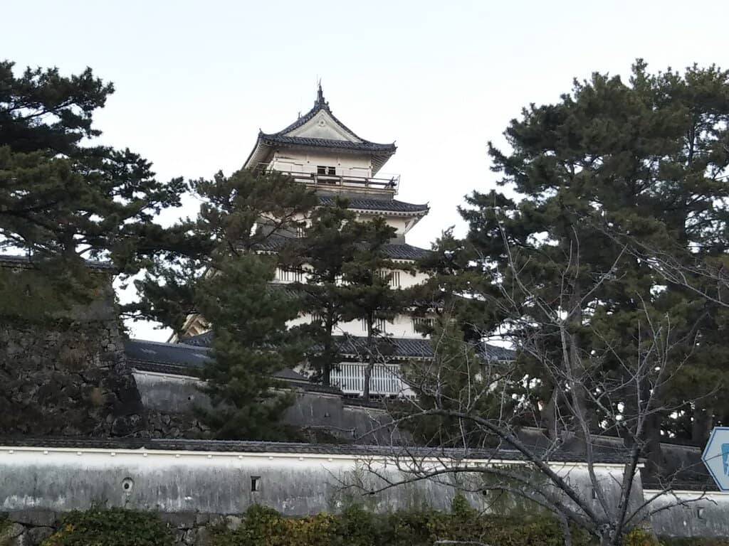 Vertical photo