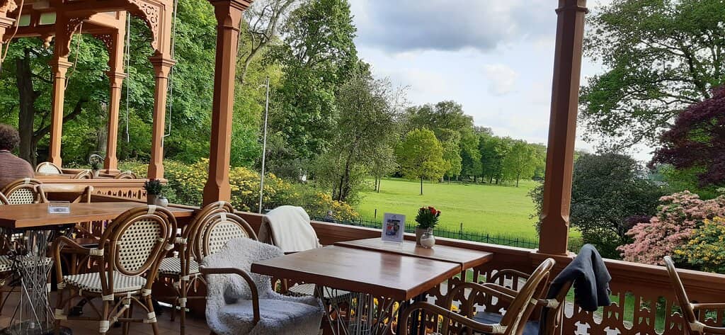 Tasteful Appetizers & Flavorful Entrees