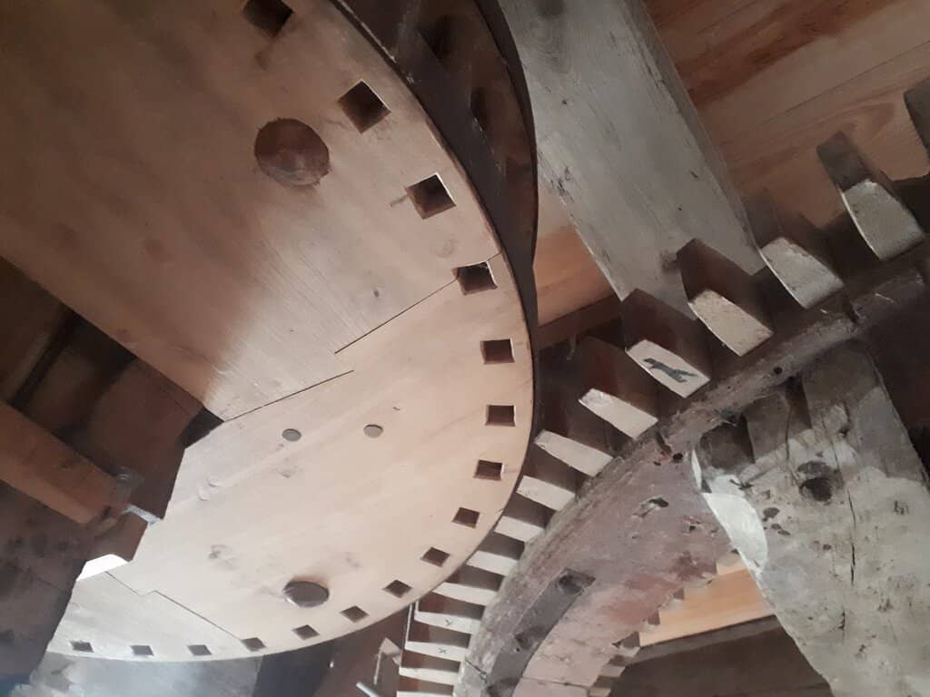 Vertical photo