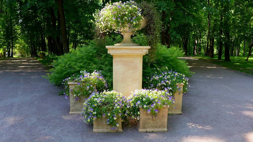 The "Not Boring" Name Origin