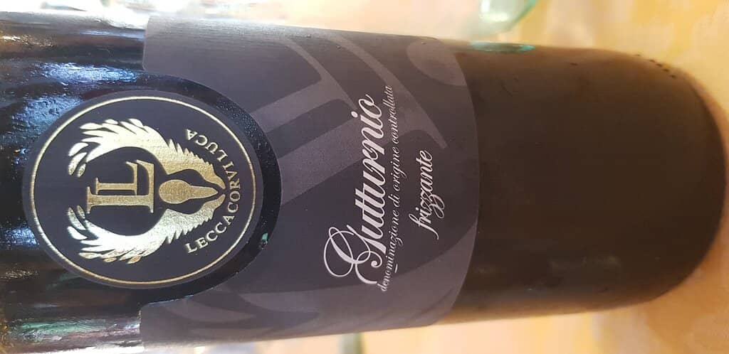 Kind and Attentive Service