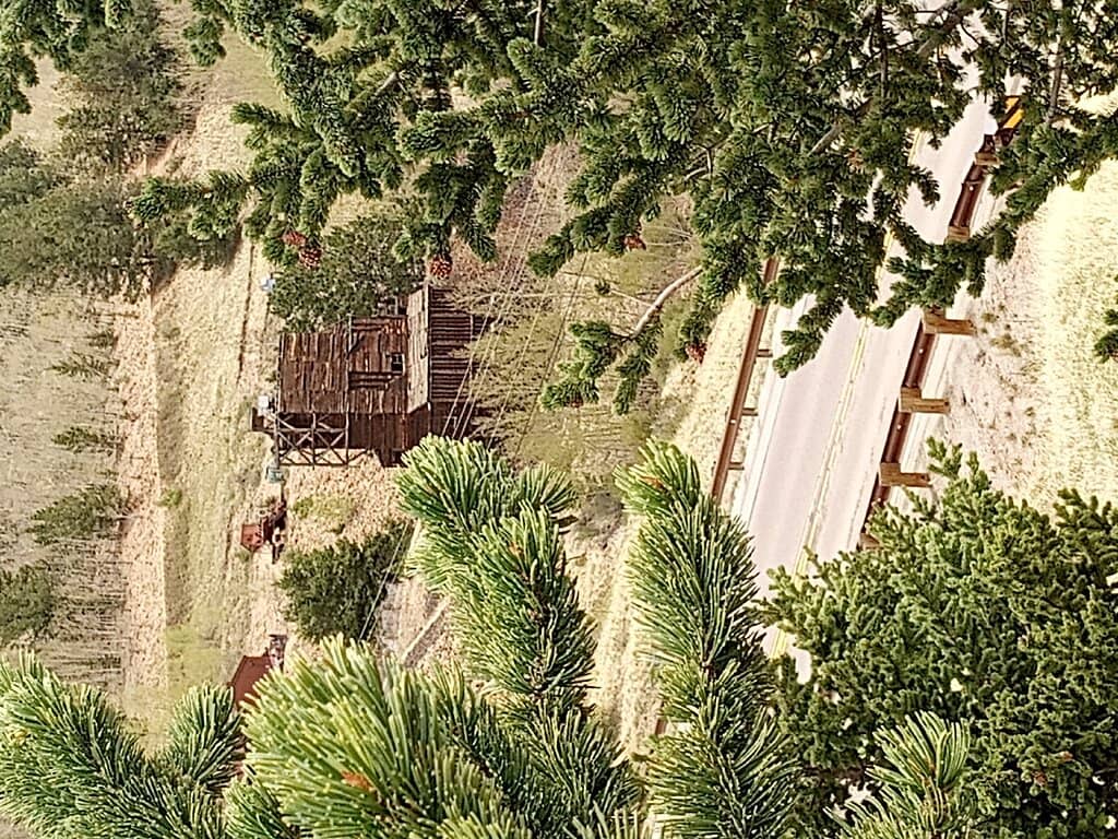 Dinosaur and Transportation Displays