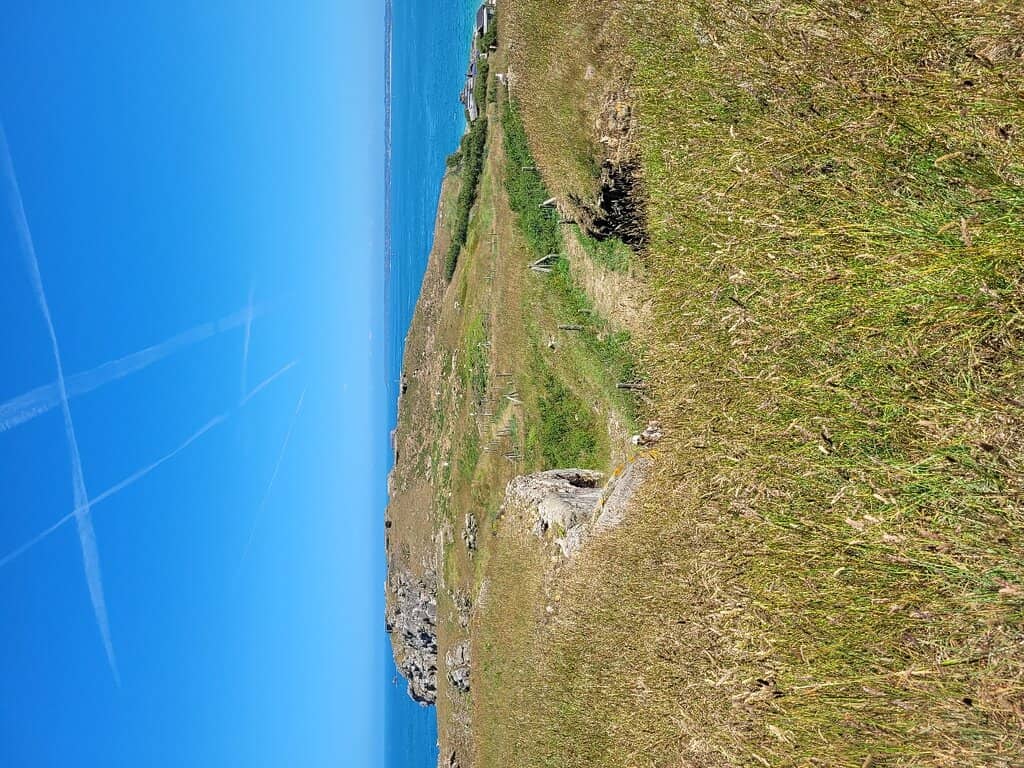 Panoramic Views