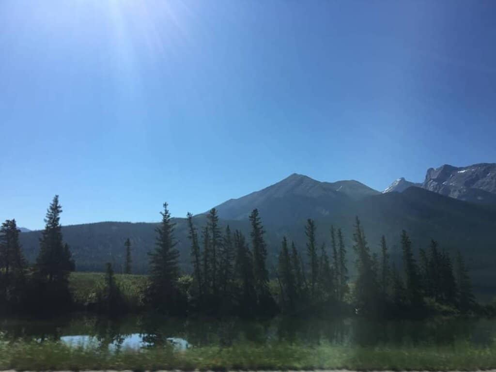 Tranquil Lakeside Trail