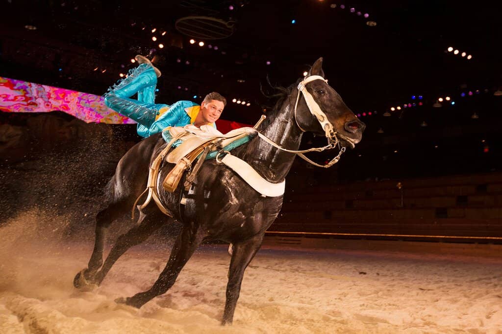 Live Musical Performances