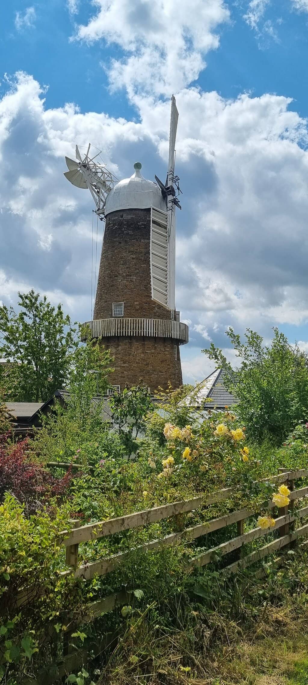 Stoneground Organic Flour