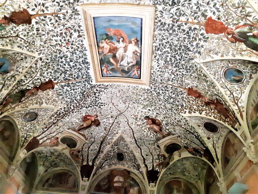 Vertical photo