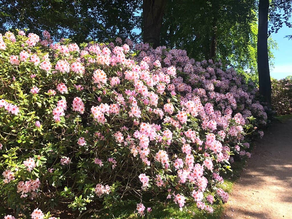 Family-Friendly Playground