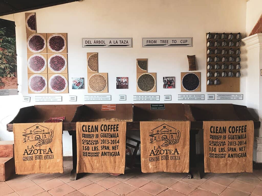 Chocolate Making Experience