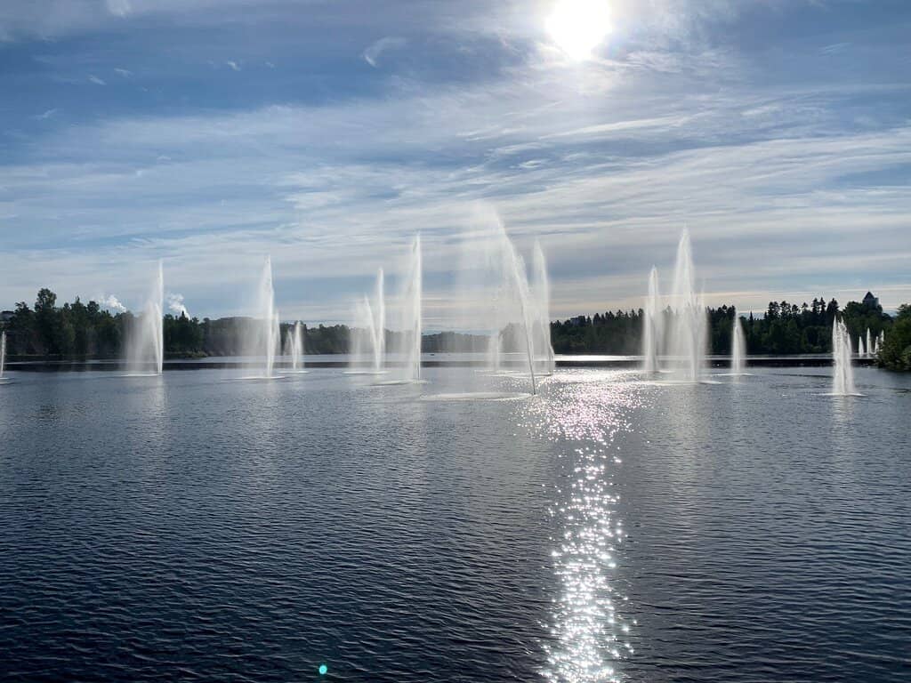 Apple Trees in Bloom