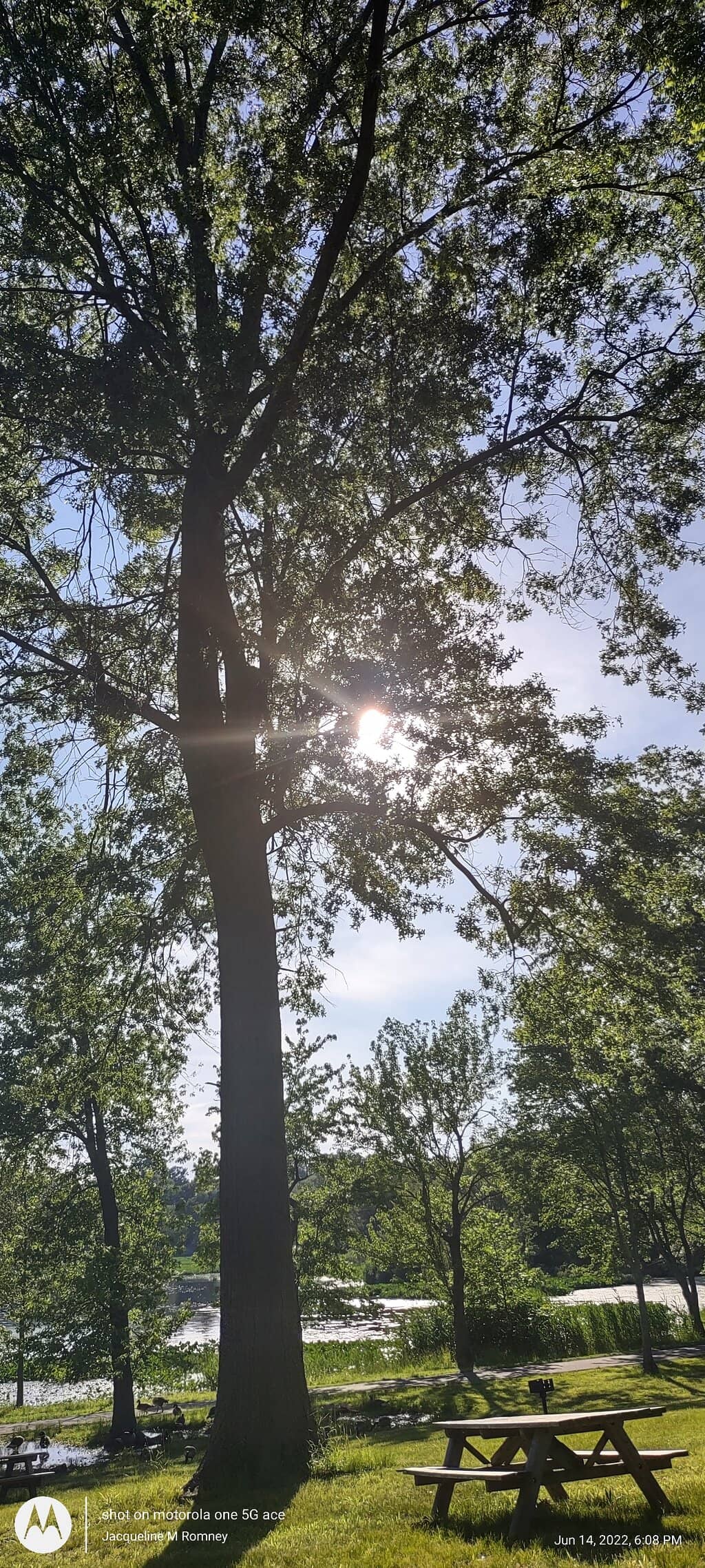 Walking & Running Trails