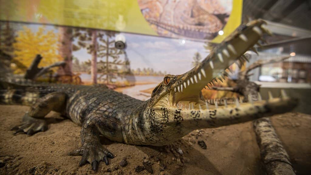 Local History Museum