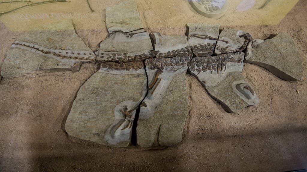 Third hero image