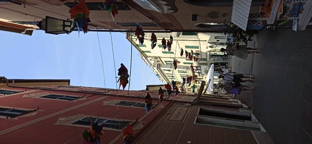 Vertical photo