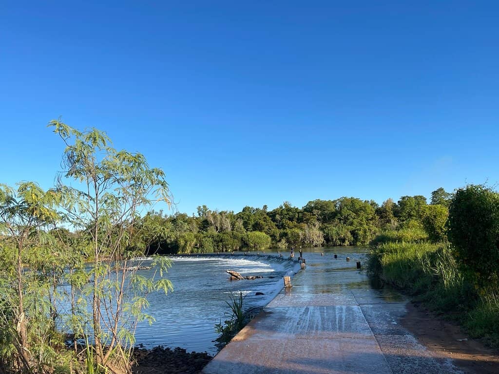 Saltwater Crocodile Spotting