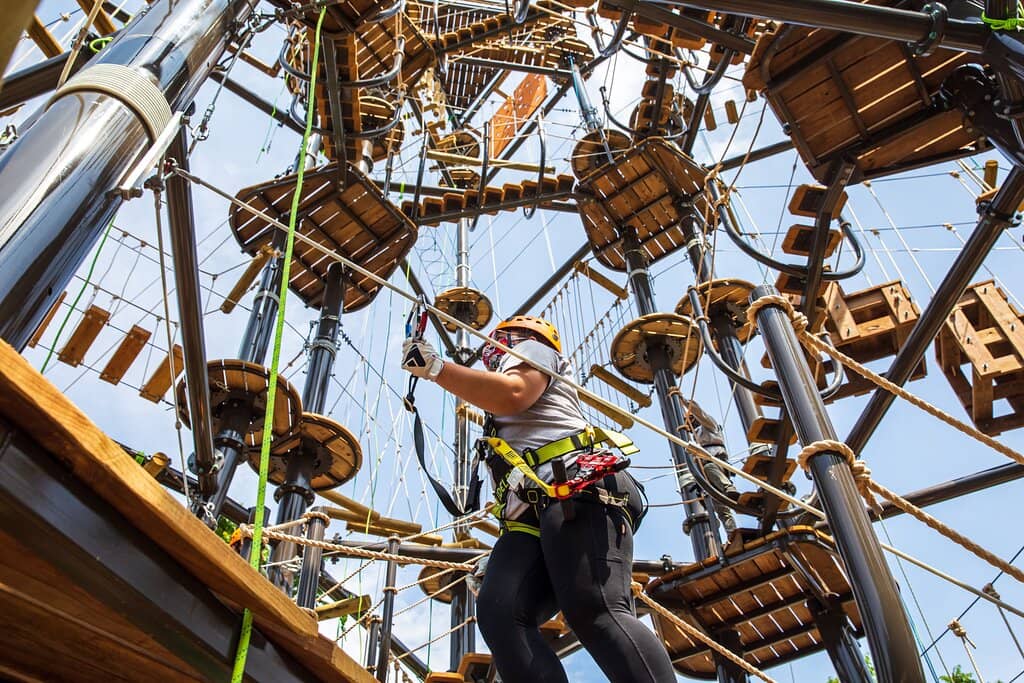 Zip, Climb & Dine Experience