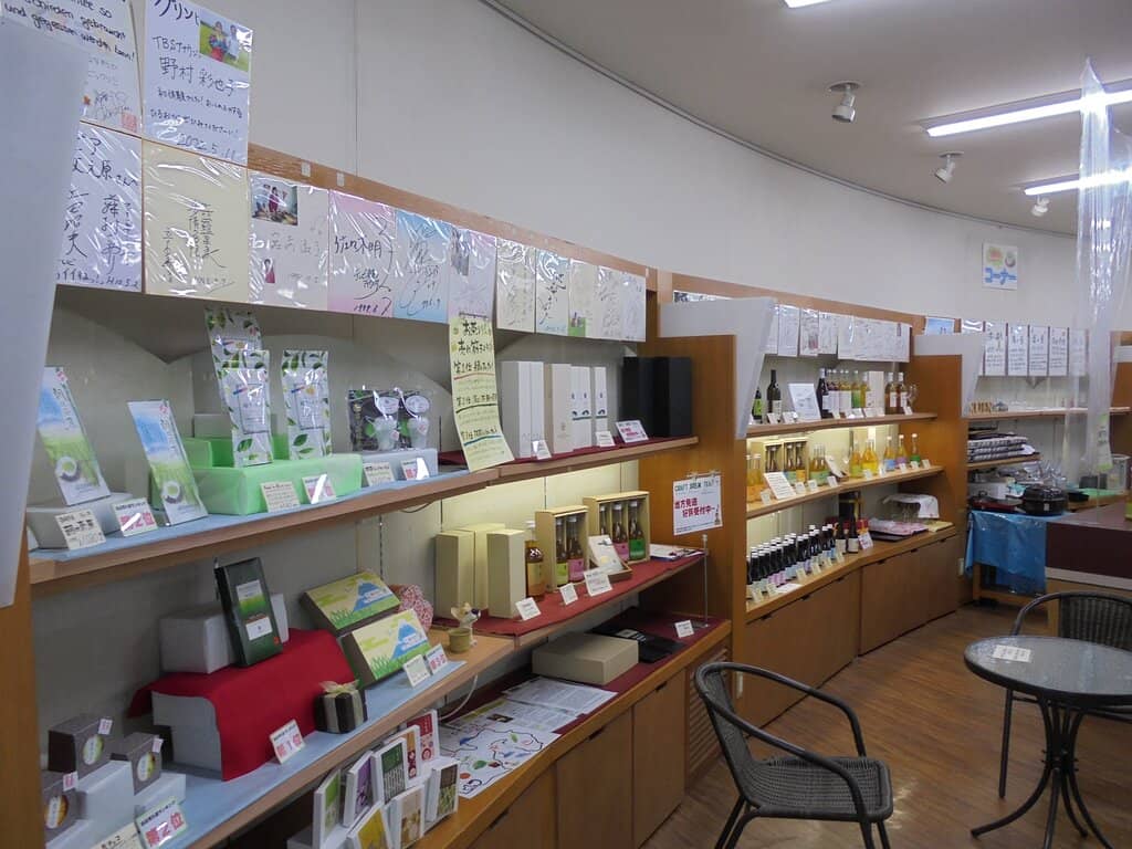 Tea Factory Tour