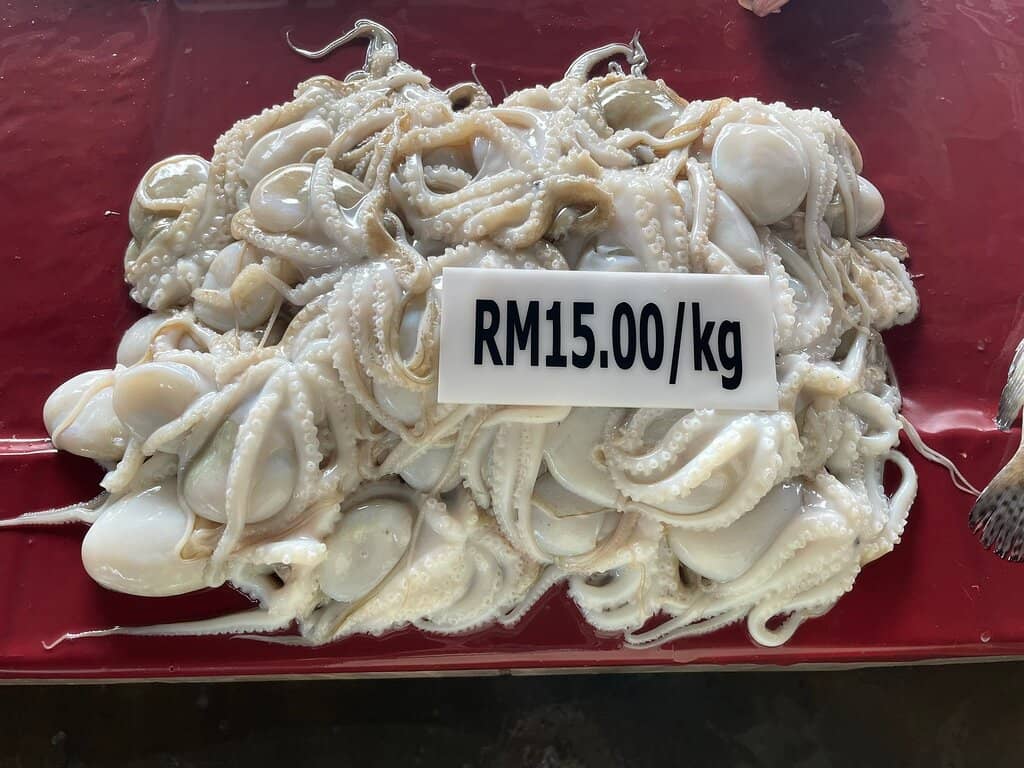 Cooked Seafood Experience