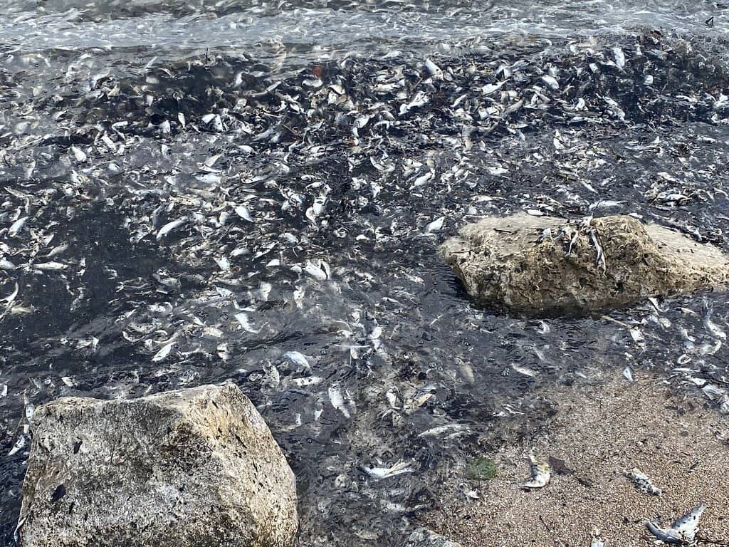 Sandy Shores & Calm Waters