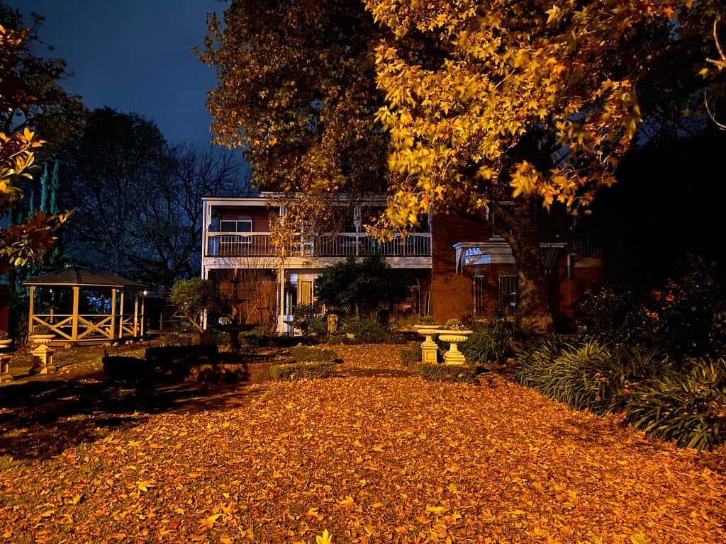 Serene St. Francis Garden