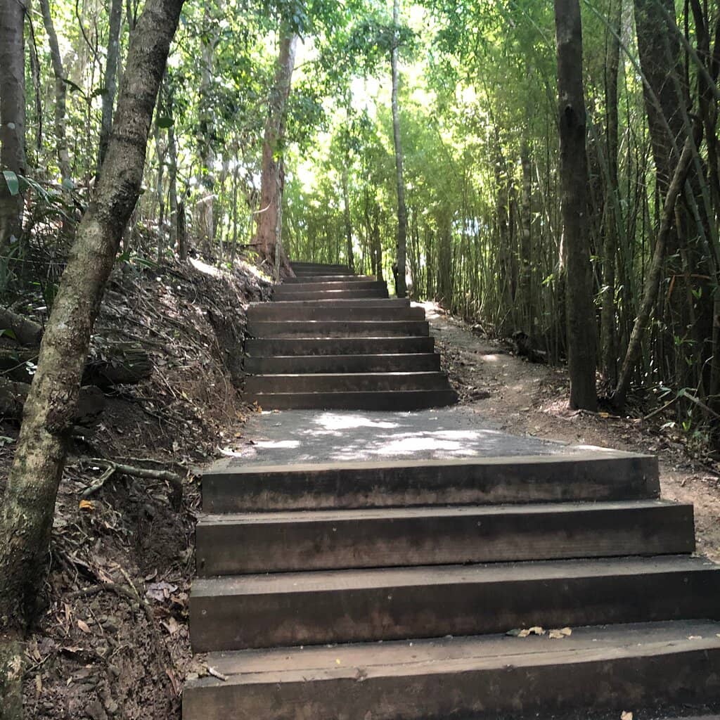 Red Arrow Circuit Loop