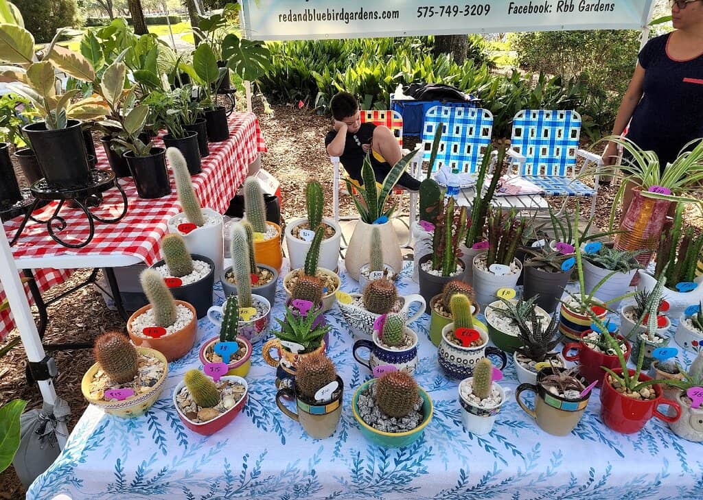 Artisan Baked Goods