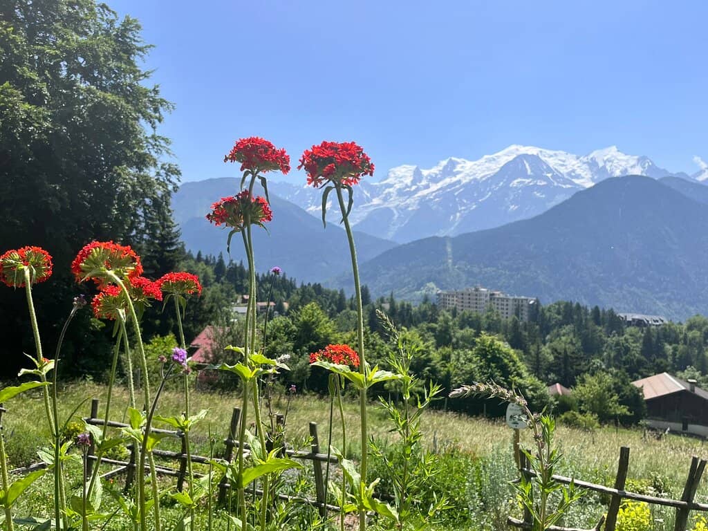 Well-Kept Gardens