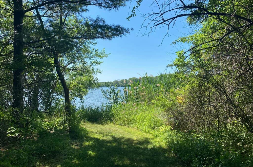 Glasener Beach Area