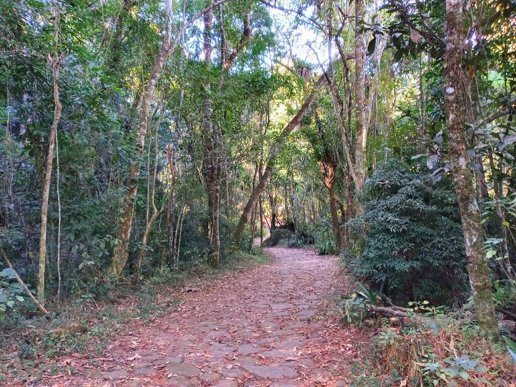 Easy Nature Trails