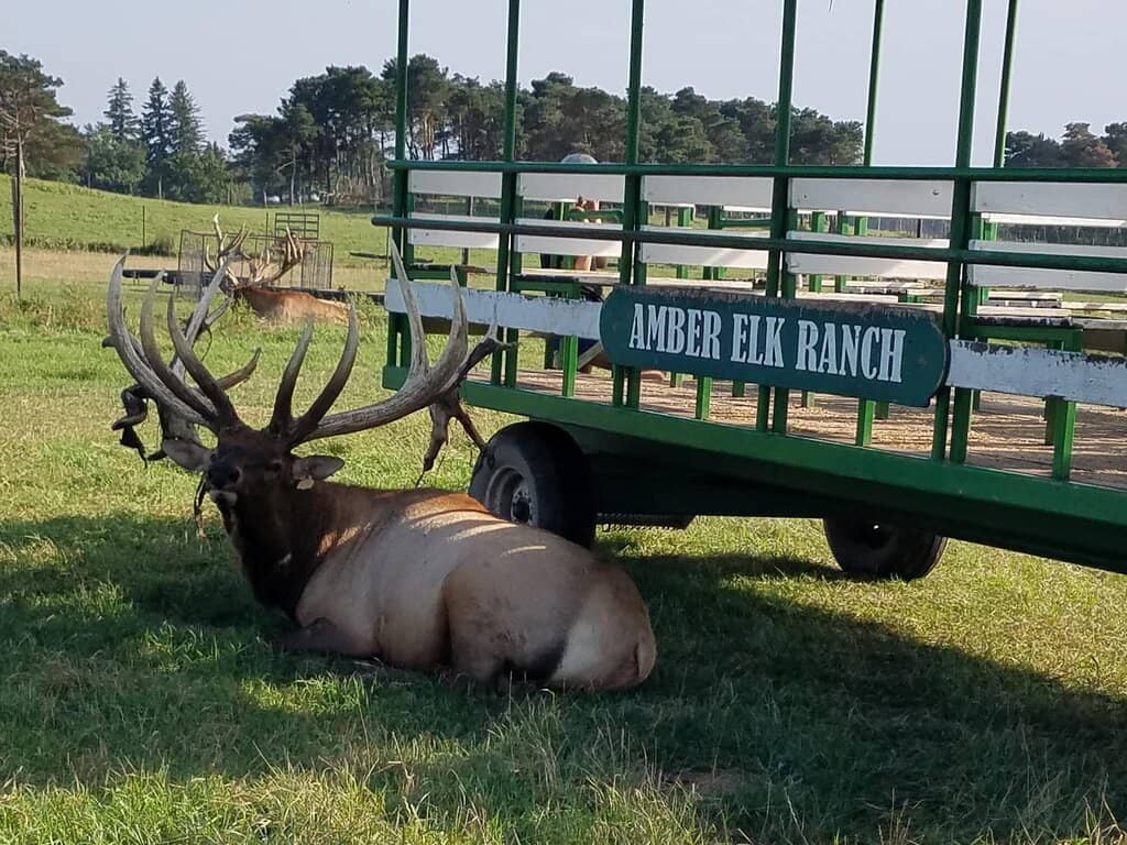 Scenic Wagon Tours