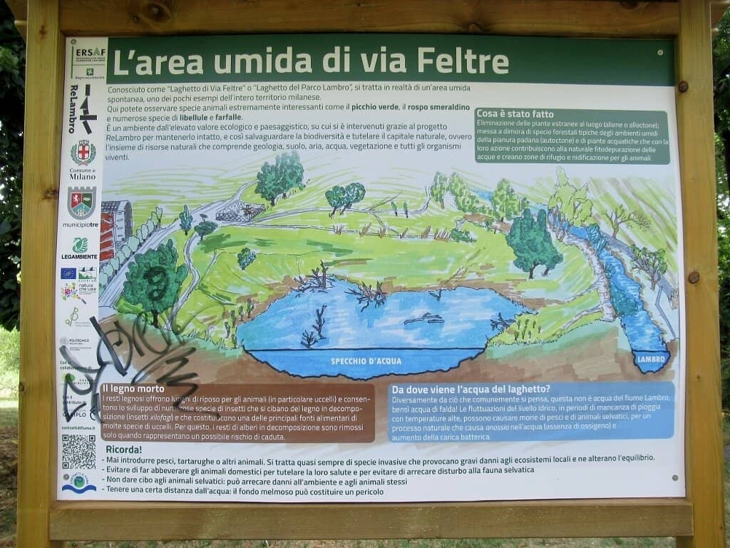Water Features