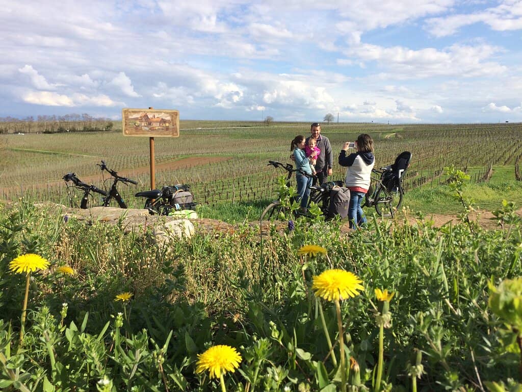 Alsace Wine Route