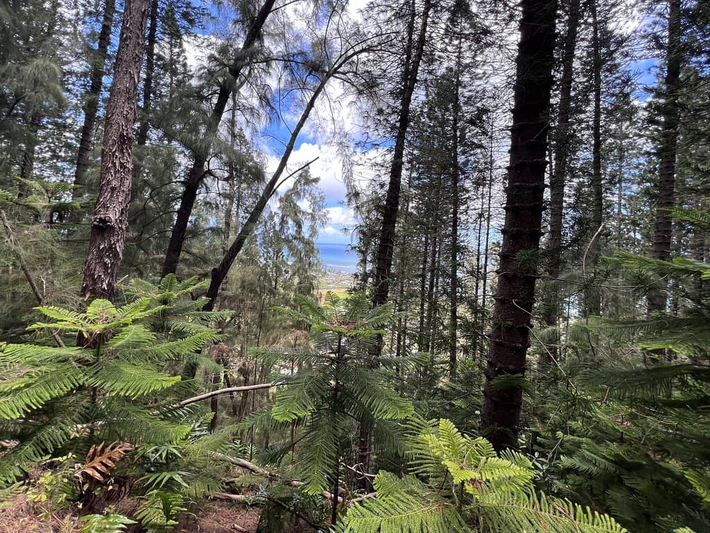 Vertical photo