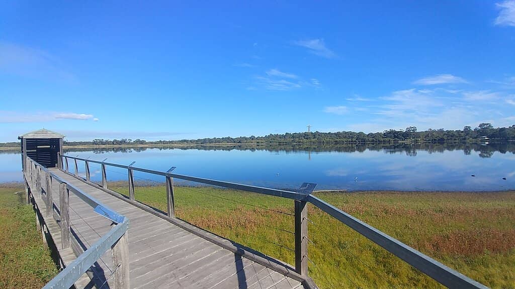 Birdwatcher's Delight