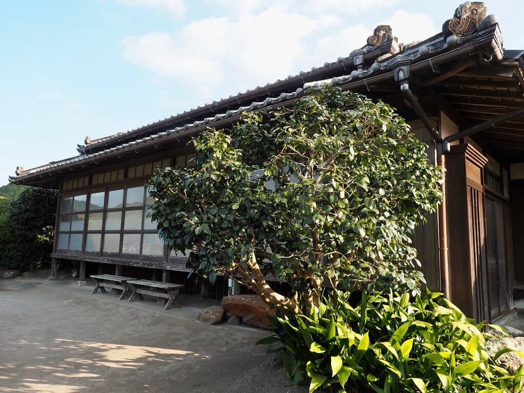 Local Tea Experience