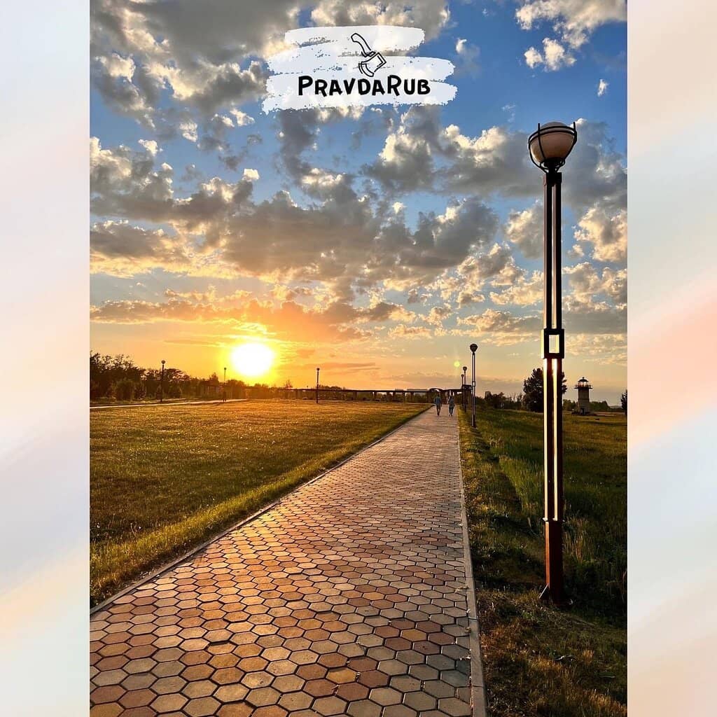 Artistic Bird Migration Map