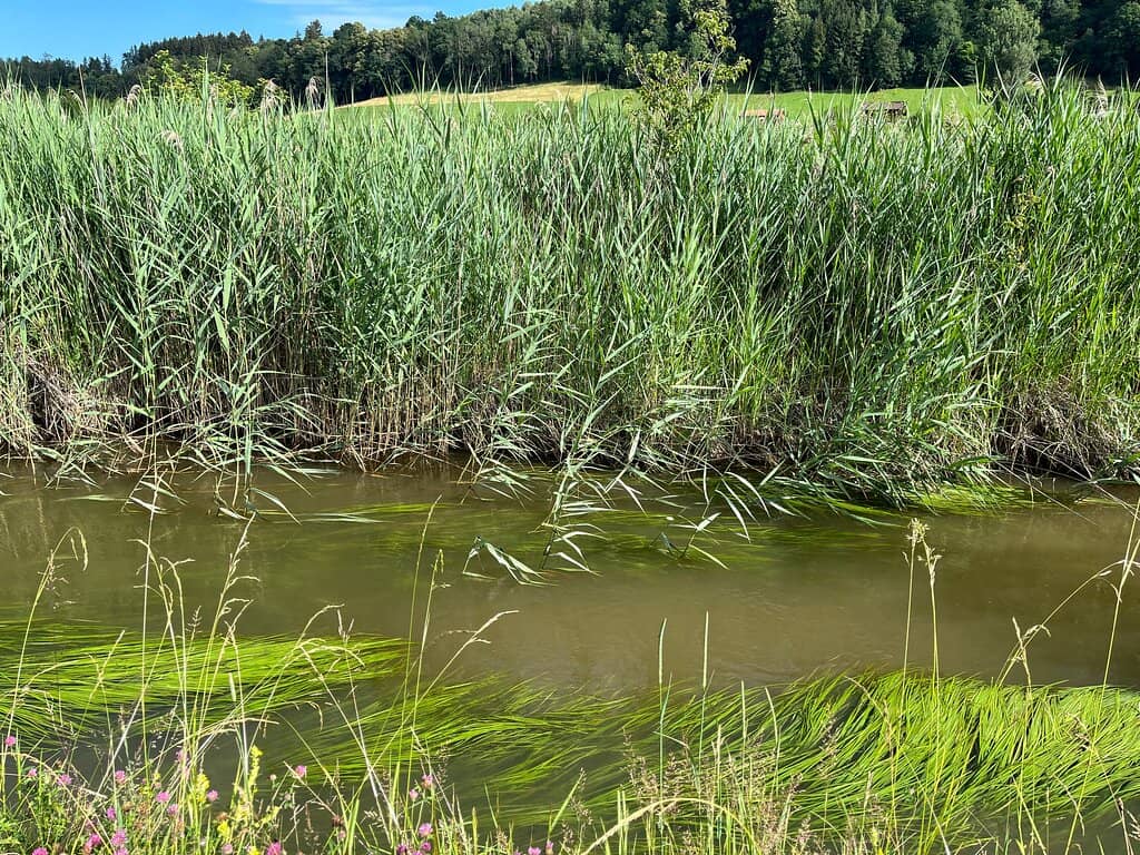 Diverse Flora & Fauna