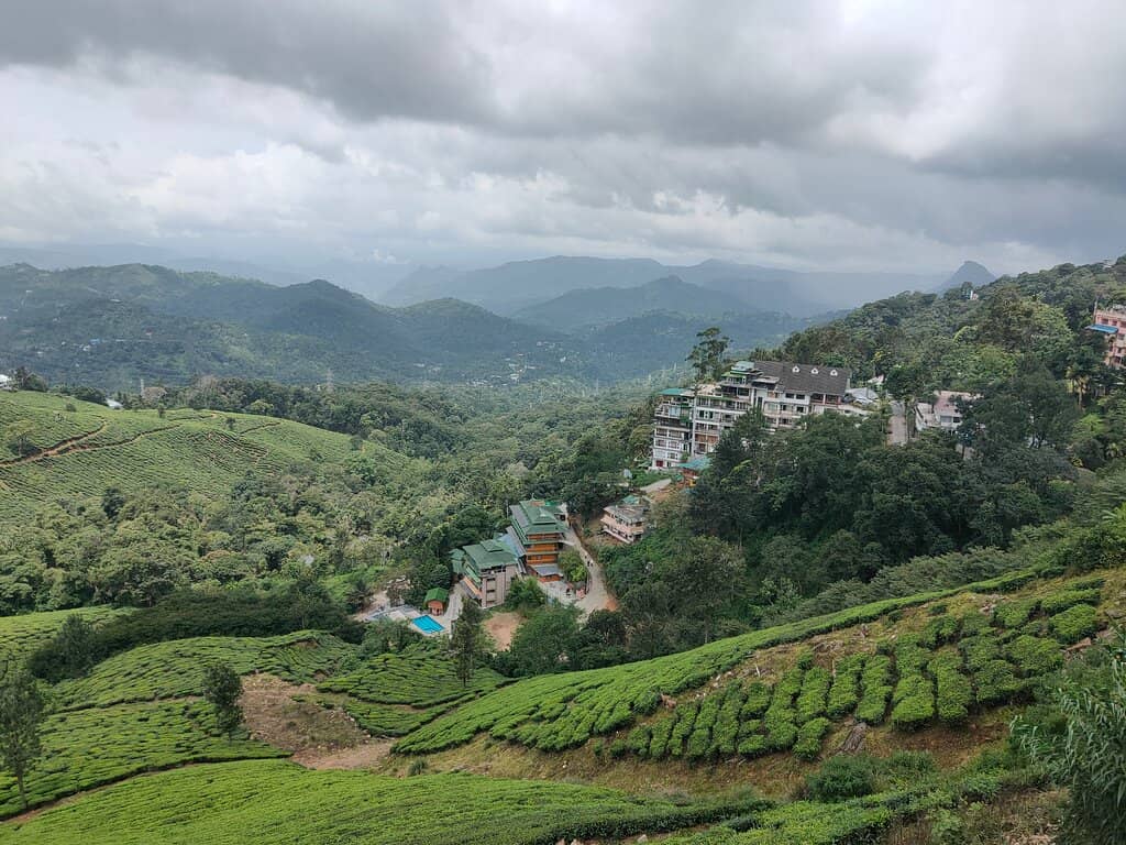 Top Station Viewpoint