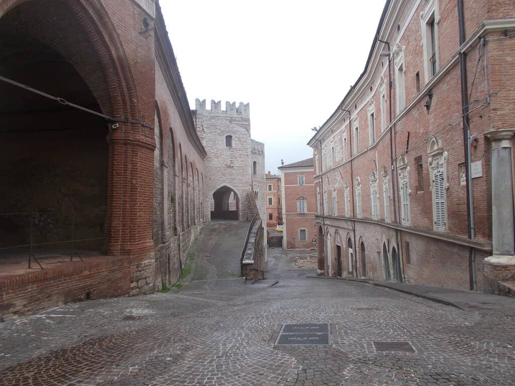 Vertical photo