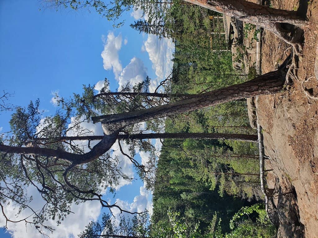 Haukkajärvi Campground