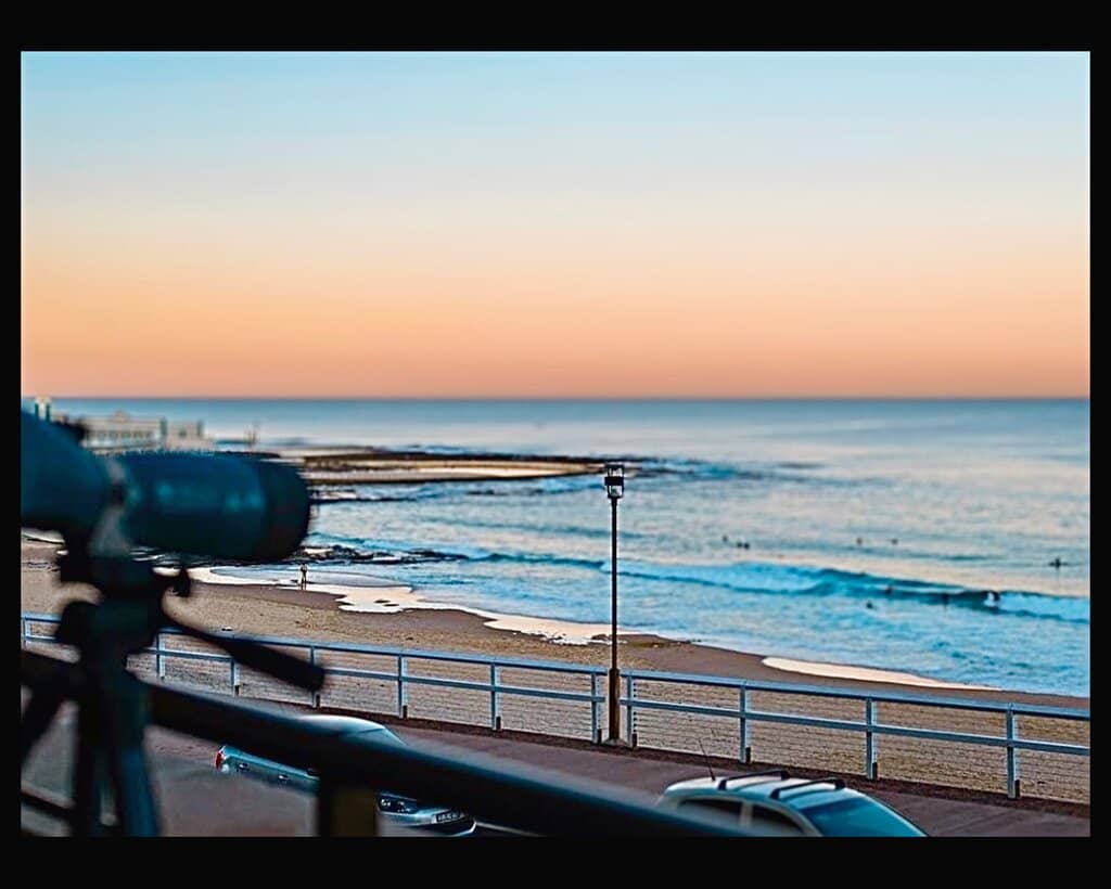 Mediterranean Delights